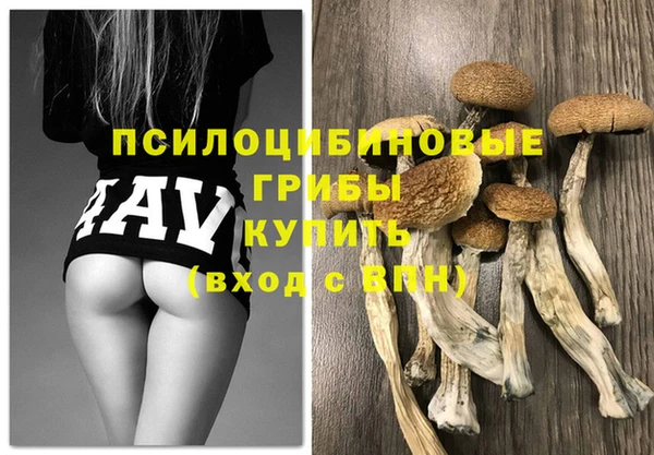 spice Коряжма
